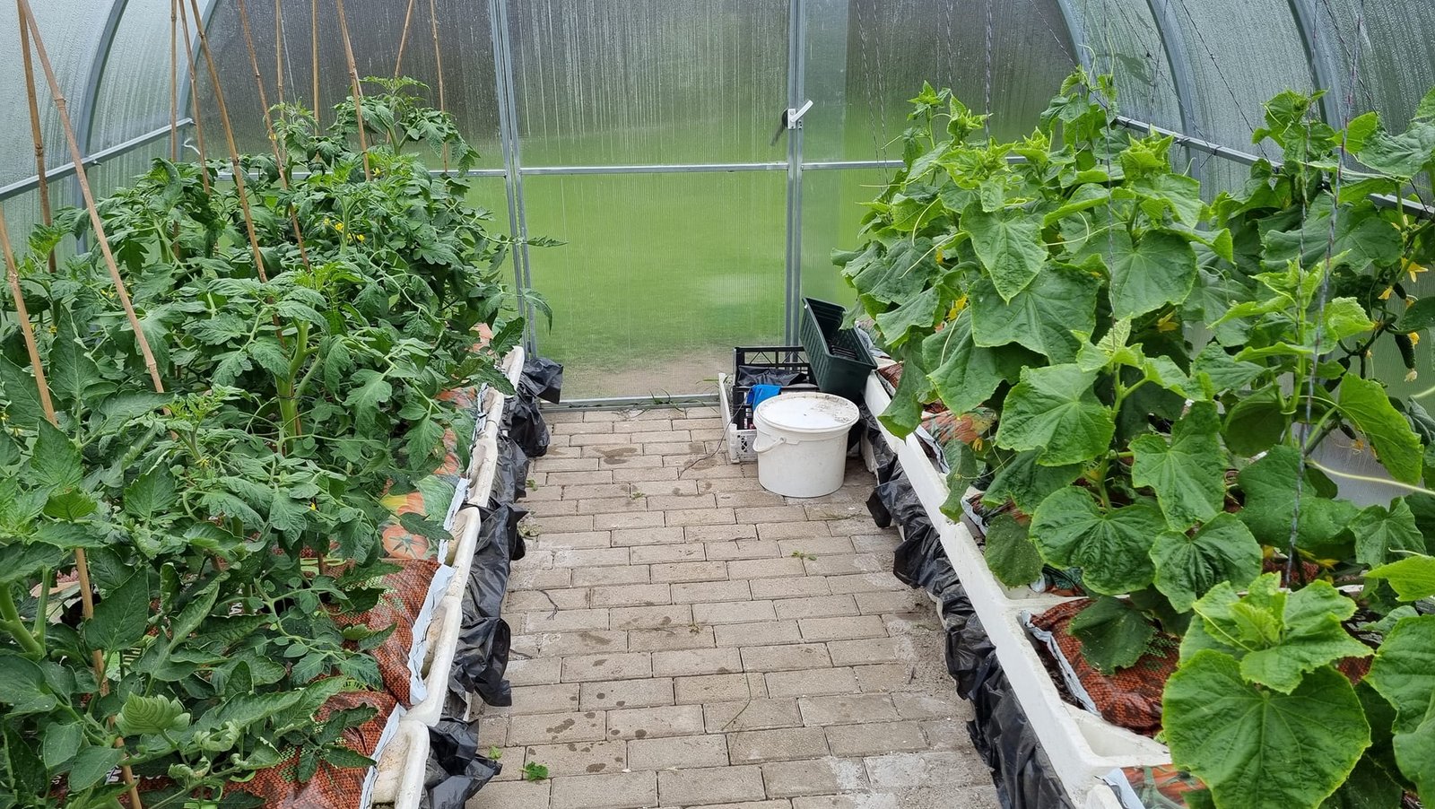 Laistymo dėžė BASIC - Image 2