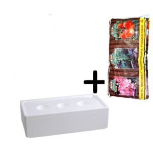 Laistymo dėžė BASIC ir auginimo maišas KOMPLEKTAS